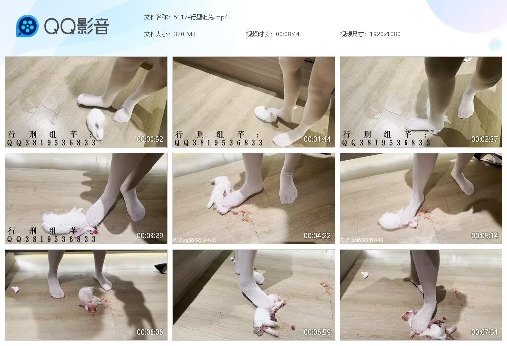 5117-行型组兔[2